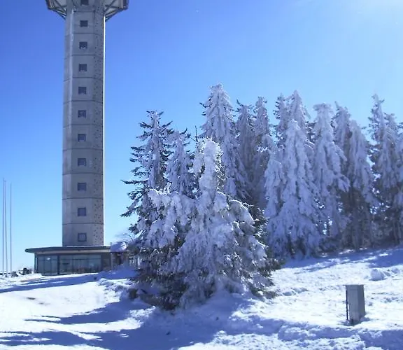Zum Ritzhagen Апартаменти Віллінген